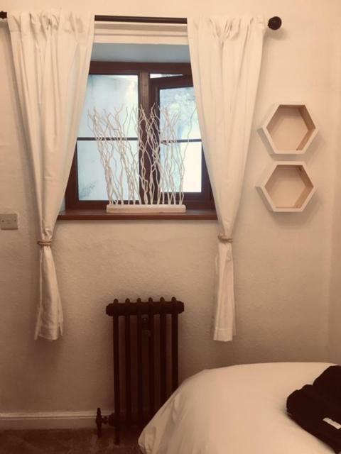 Meadfoot Cottage 토키 외부 사진